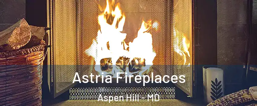  Astria Fireplaces Aspen Hill - MD