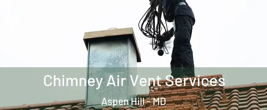  Chimney Air Vent Services Aspen Hill - MD