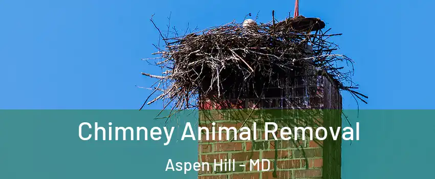  Chimney Animal Removal Aspen Hill - MD