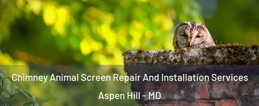  Chimney Animal Screen Repair And Installation Services Aspen Hill - MD
