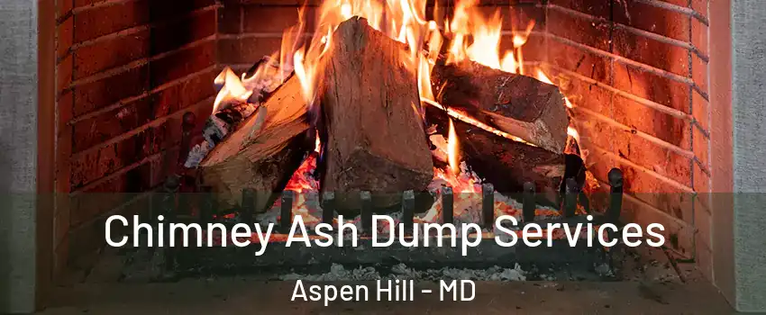  Chimney Ash Dump Services Aspen Hill - MD