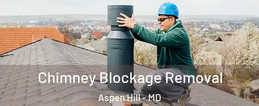  Chimney Blockage Removal Aspen Hill - MD
