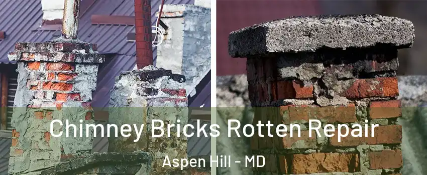  Chimney Bricks Rotten Repair Aspen Hill - MD