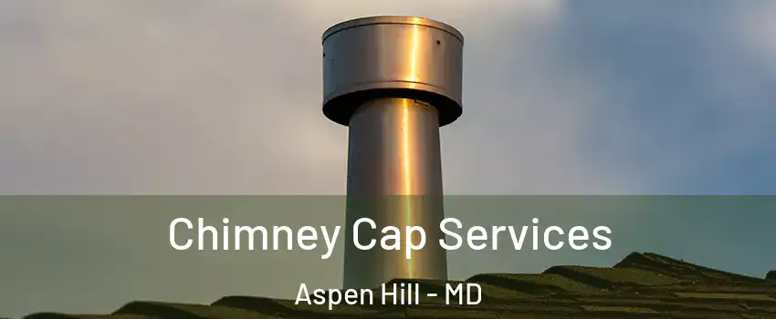  Chimney Cap Services Aspen Hill - MD