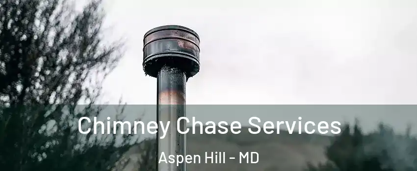  Chimney Chase Services Aspen Hill - MD