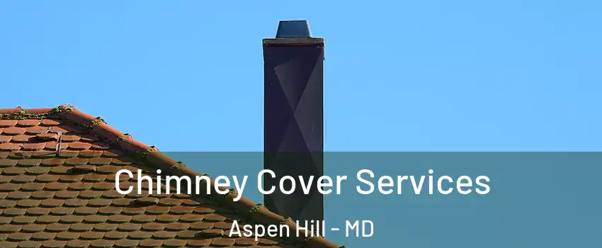  Chimney Cover Services Aspen Hill - MD