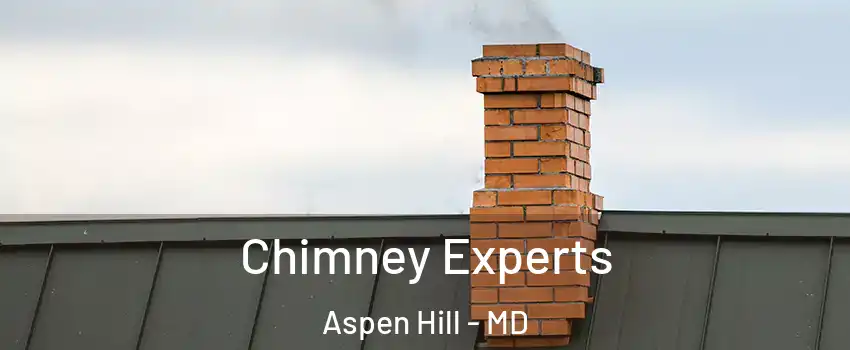  Chimney Experts Aspen Hill - MD