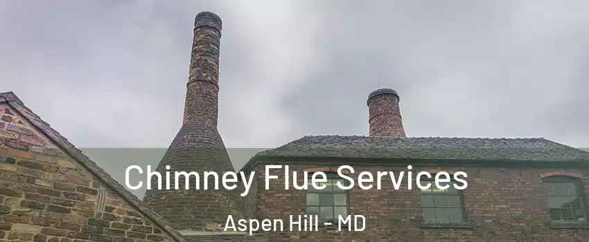  Chimney Flue Services Aspen Hill - MD