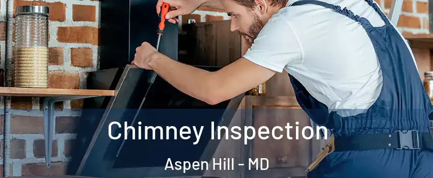  Chimney Inspection Aspen Hill - MD