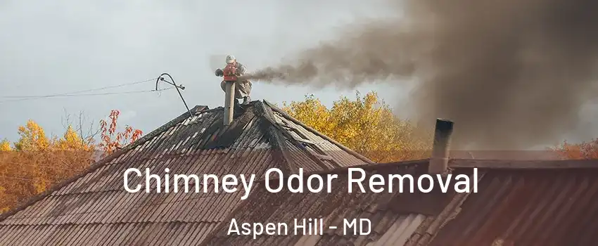 Chimney Odor Removal Aspen Hill - MD