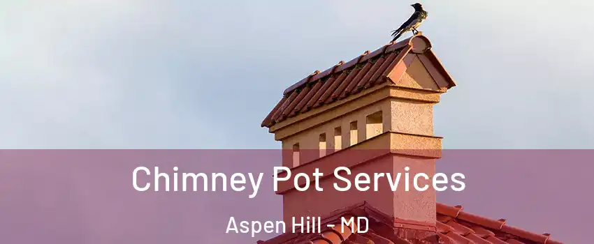  Chimney Pot Services Aspen Hill - MD