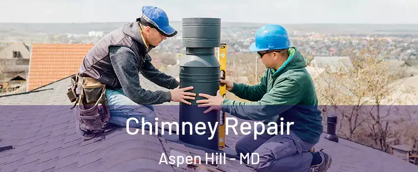  Chimney Repair Aspen Hill - MD