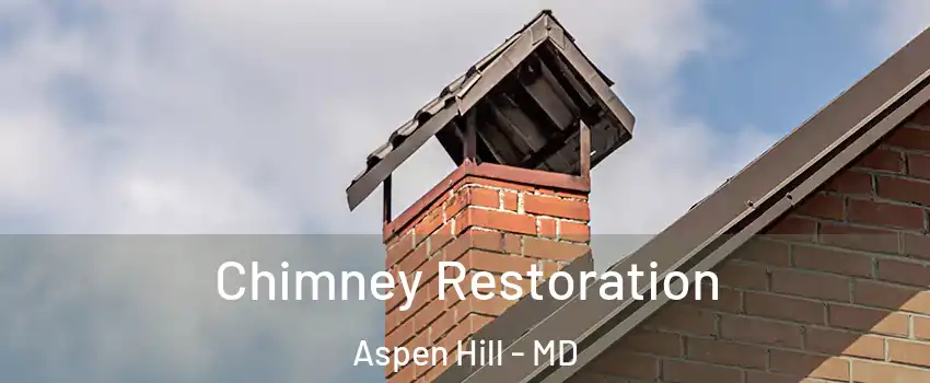  Chimney Restoration Aspen Hill - MD