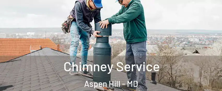  Chimney Service Aspen Hill - MD