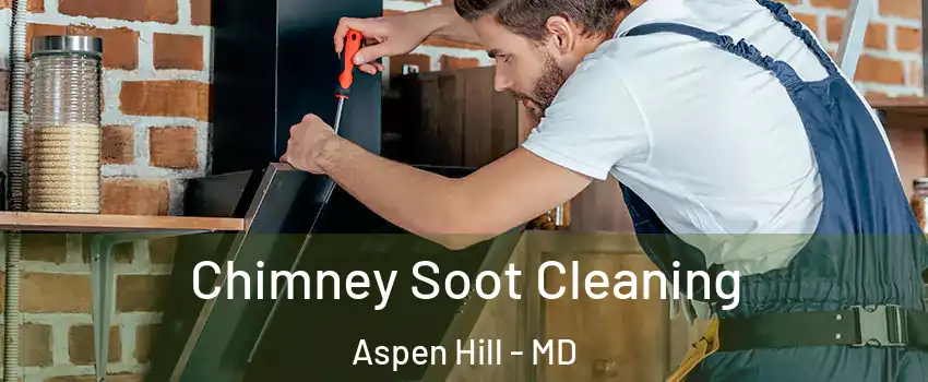 Chimney Soot Cleaning Aspen Hill - MD