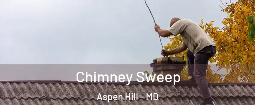  Chimney Sweep Aspen Hill - MD