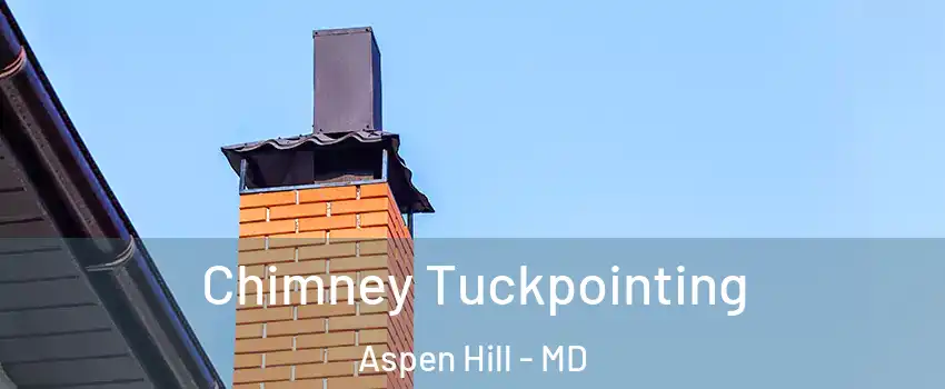  Chimney Tuckpointing Aspen Hill - MD