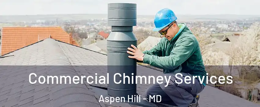  Commercial Chimney Services Aspen Hill - MD