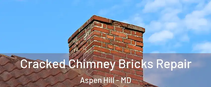  Cracked Chimney Bricks Repair Aspen Hill - MD