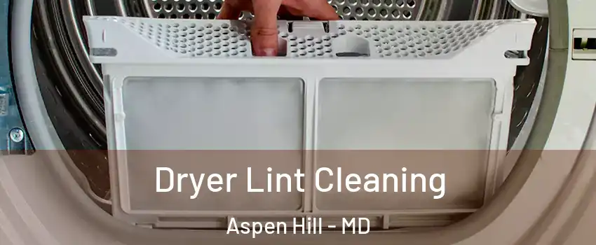  Dryer Lint Cleaning Aspen Hill - MD