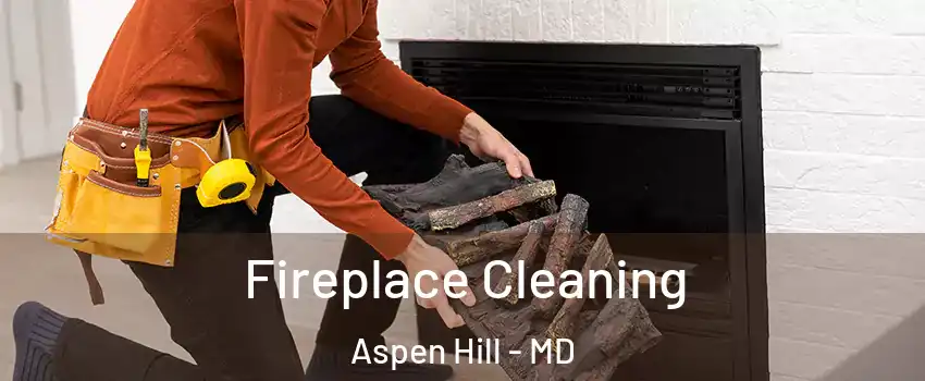  Fireplace Cleaning Aspen Hill - MD