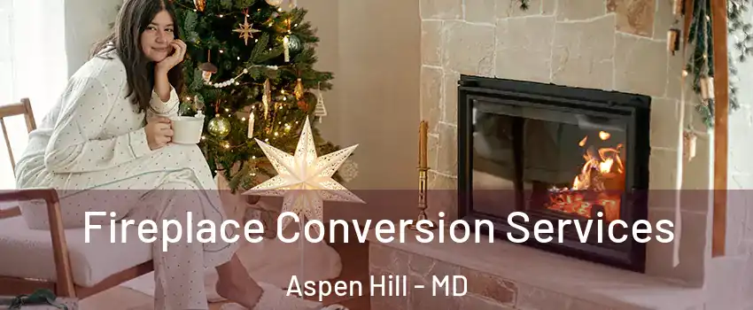  Fireplace Conversion Services Aspen Hill - MD