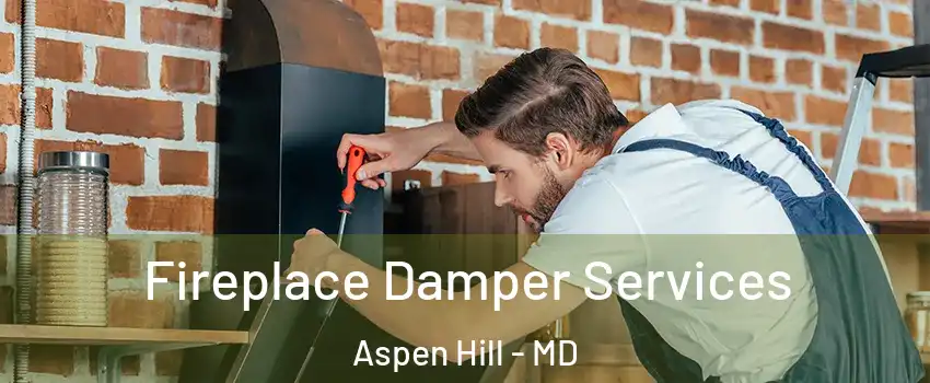  Fireplace Damper Services Aspen Hill - MD