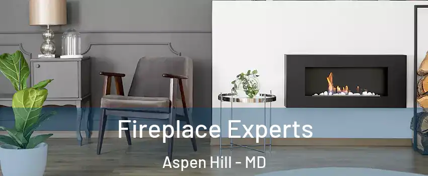  Fireplace Experts Aspen Hill - MD