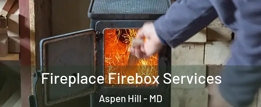  Fireplace Firebox Services Aspen Hill - MD