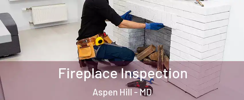  Fireplace Inspection Aspen Hill - MD