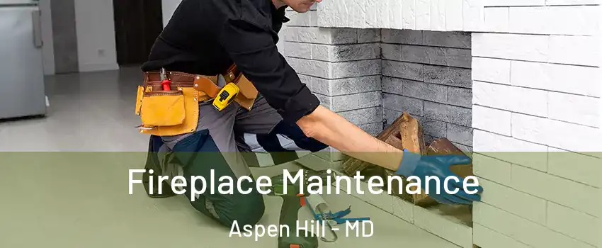  Fireplace Maintenance Aspen Hill - MD