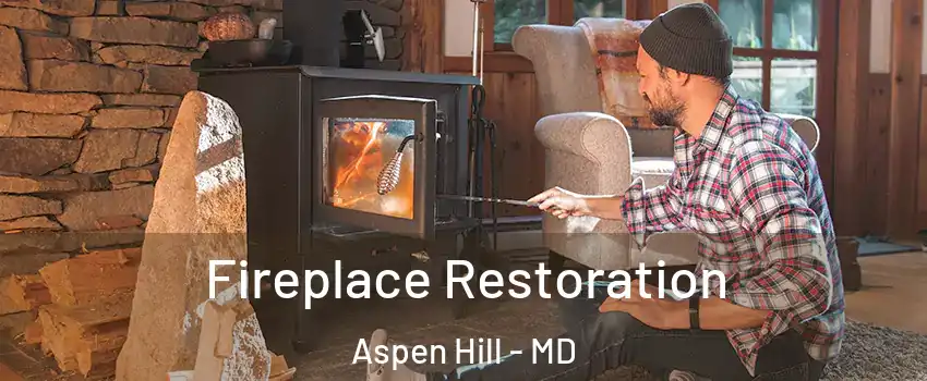  Fireplace Restoration Aspen Hill - MD