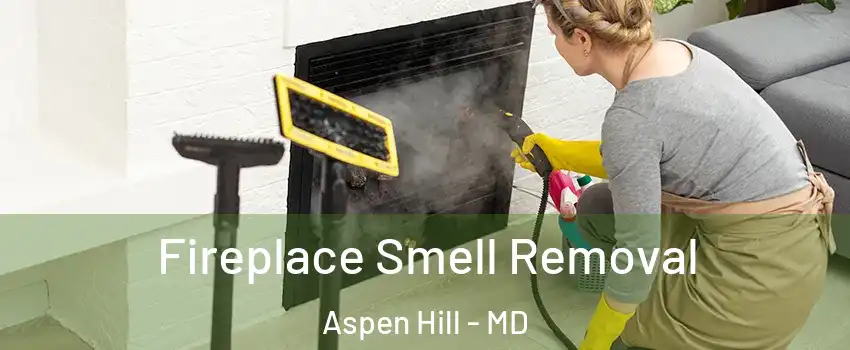  Fireplace Smell Removal Aspen Hill - MD