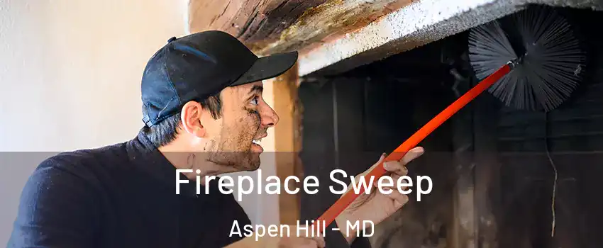  Fireplace Sweep Aspen Hill - MD