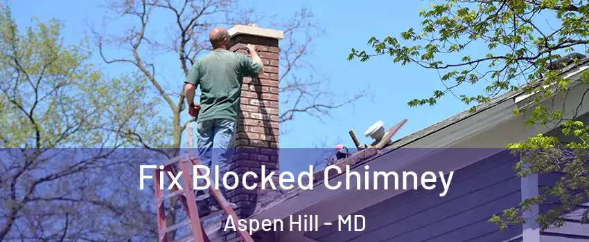  Fix Blocked Chimney Aspen Hill - MD