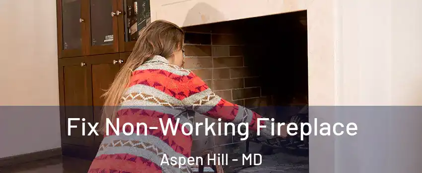  Fix Non-Working Fireplace Aspen Hill - MD