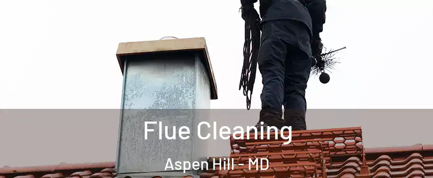  Flue Cleaning Aspen Hill - MD