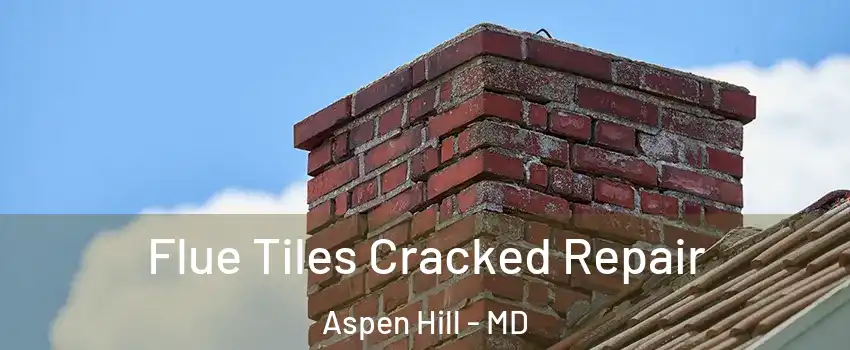  Flue Tiles Cracked Repair Aspen Hill - MD