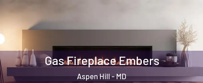  Gas Fireplace Embers Aspen Hill - MD