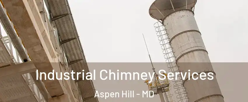  Industrial Chimney Services Aspen Hill - MD