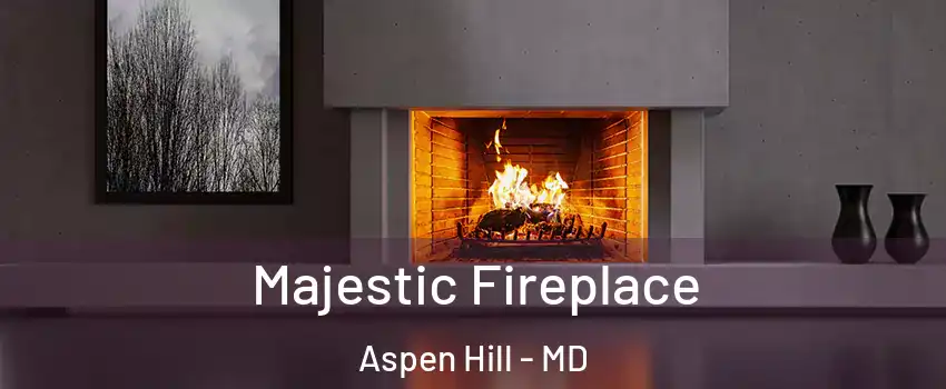  Majestic Fireplace Aspen Hill - MD