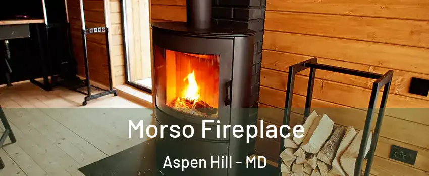  Morso Fireplace Aspen Hill - MD