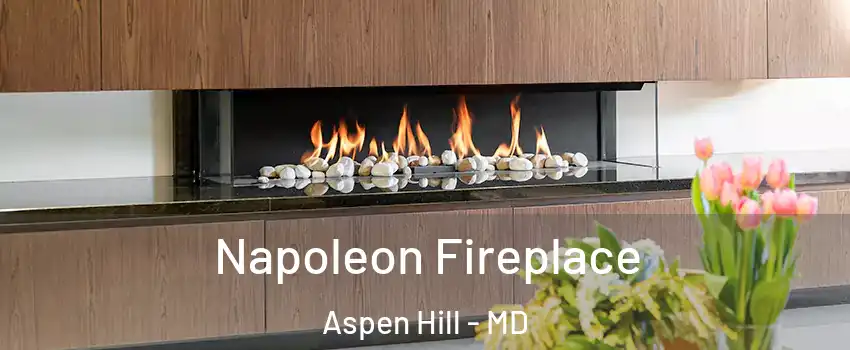  Napoleon Fireplace Aspen Hill - MD