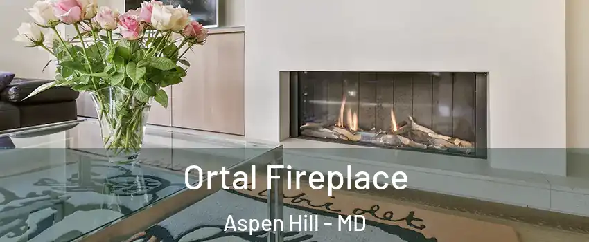 Ortal Fireplace Aspen Hill - MD