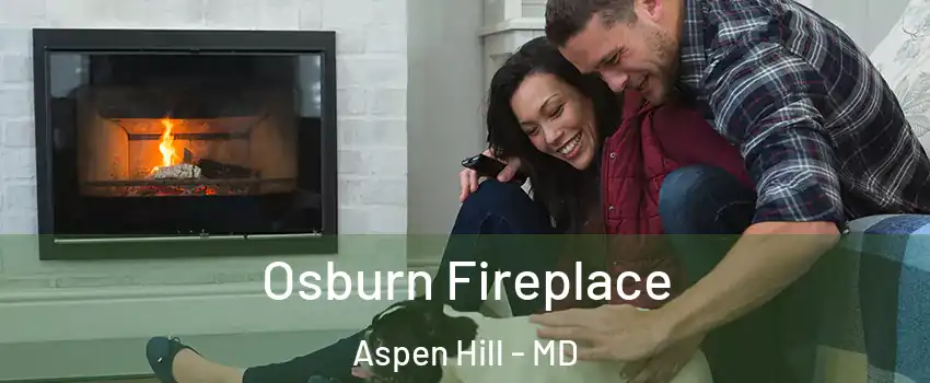  Osburn Fireplace Aspen Hill - MD